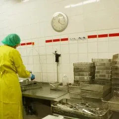 Centralna Sterylizatornia jest wydzieloną, zamkniętą jednostką Szpitala.