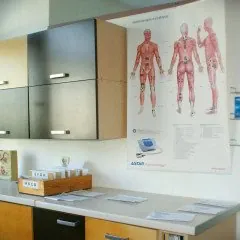 Dział wykonuje szeroki zakres zabiegów z fizykoterapii, hydroterapii, masażu leczniczego.